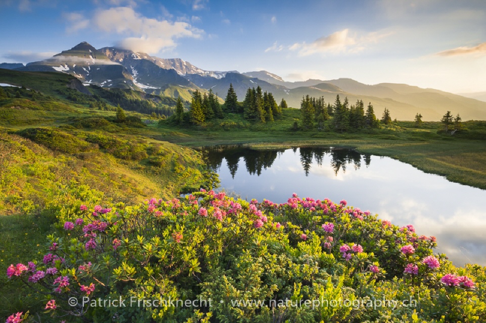 SCHWEIZ IM SOMMER
