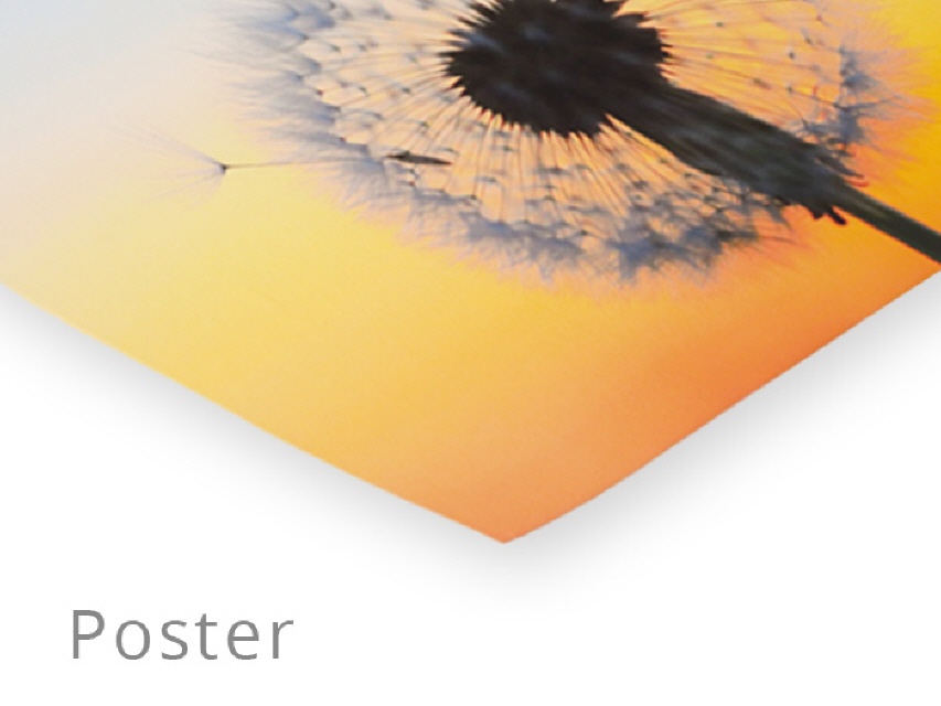 Foto-Poster bestellen