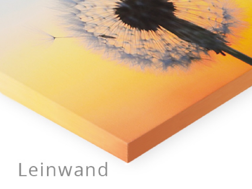 Leinwandbilder bestellen